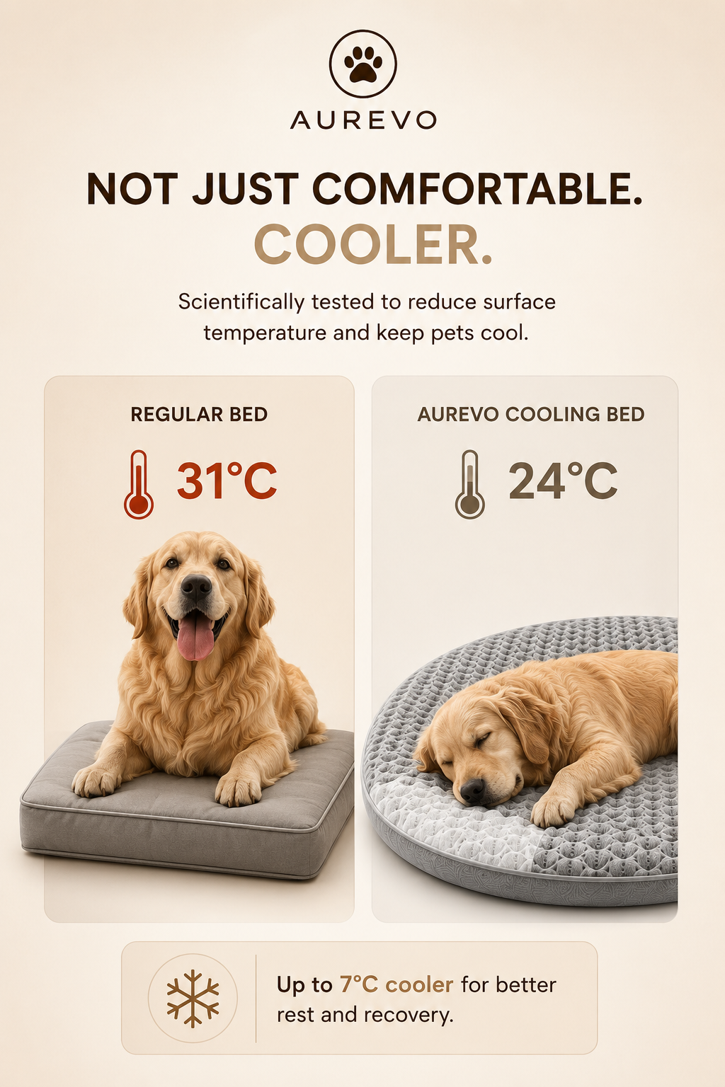 AUREVO Cooling Comfort Bed