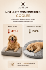 AUREVO Cooling Comfort Bed